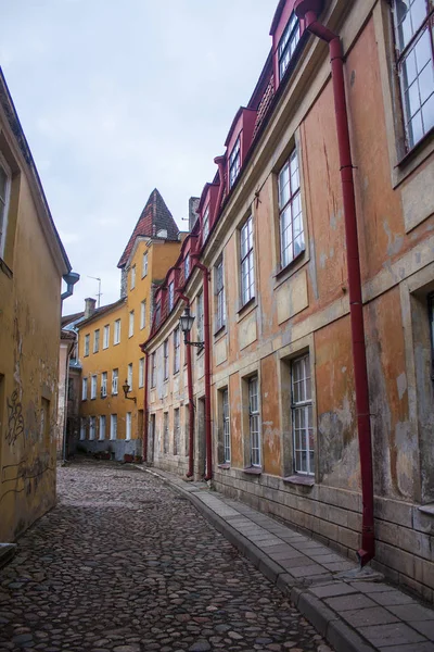Старый Город Таллинна Таллиннская Башня Эппинга — стоковое фото