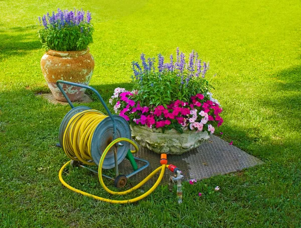 Watering Cans Hose Front Colorful Flower Garden — Stock Photo, Image