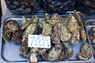 Catania, Sicilya, İtalya 'da balık pazarında satılık istiridye.