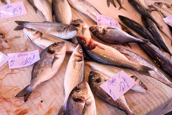 Seafood Fish Market Catania Sicily Italy — 스톡 사진