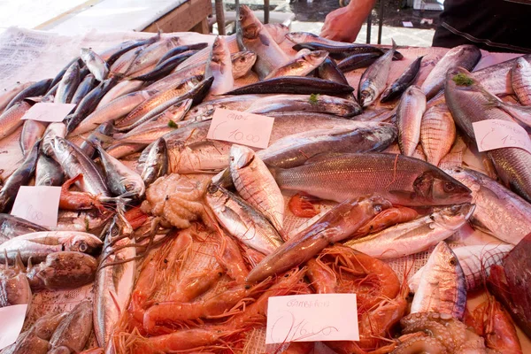 Seafood Fish Market Catania Sicily Italy — 스톡 사진