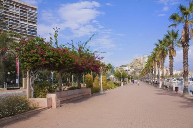 Marina ve yaya sokakta: alicante, İspanya 