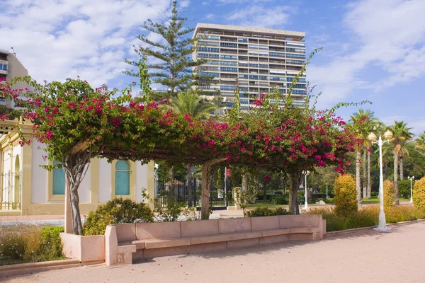 Callejón Peatonal Cerca Puerto Deportivo Alicante España —  Fotos de Stock