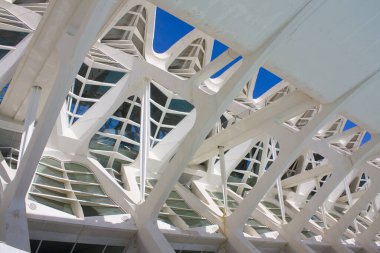 Valencia, İspanya - 17 Ekim 2019: Valencia, İspanya Sanat ve Bilim Şehri