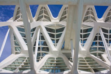 Valencia, İspanya - 17 Ekim 2019: Valencia, İspanya Sanat ve Bilim Şehri
