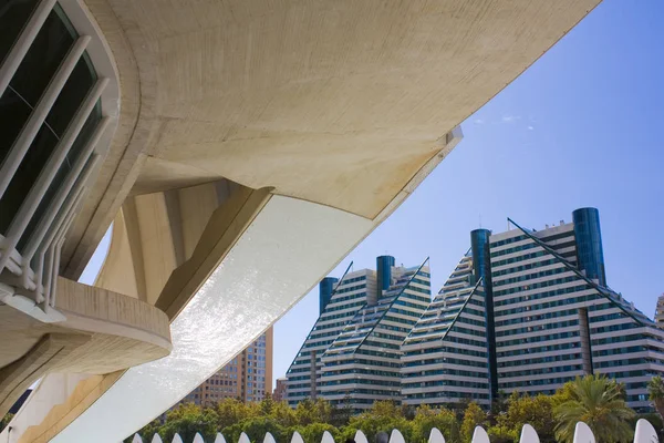 Valencia Spanien Oktober 2019 Vetenskapens Och Konstens Stad Valencia Spanien — Stockfoto