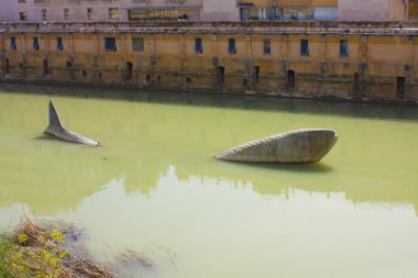 MURCIA, İspanya - 10 Mart 2020: Murcia 'daki Segura Nehri' ndeki Sardalya Anıtı