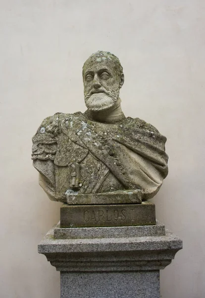 Buste Roi Carlos Château Alcazar Ségovie Espagne — Photo