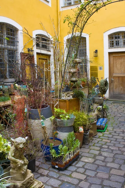 Flower shop in small courtyard l in Leipzig, Germany
