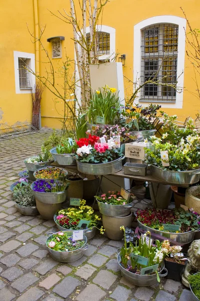 Leipzig Tyskland Mars 2020 Blomsteraffär Liten Innergård Leipzig — Stockfoto