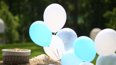 Beyaz ve mavi baloons Park