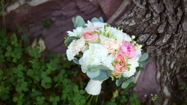 Buquê de flores brancas, rosa e bege na árvore — Vídeo de Stock