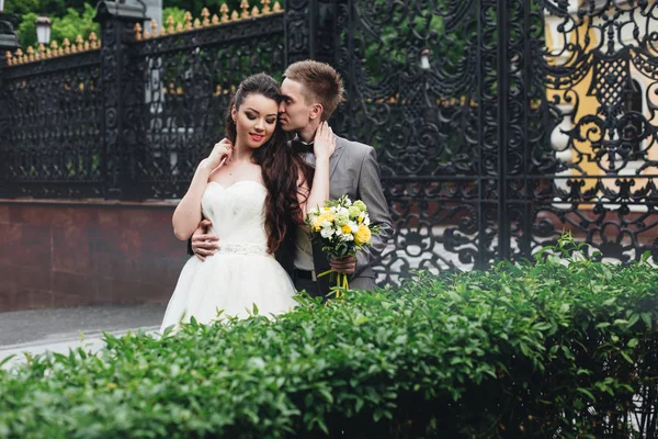 Csók a elegáns menyasszony vőlegény — Stock Fotó