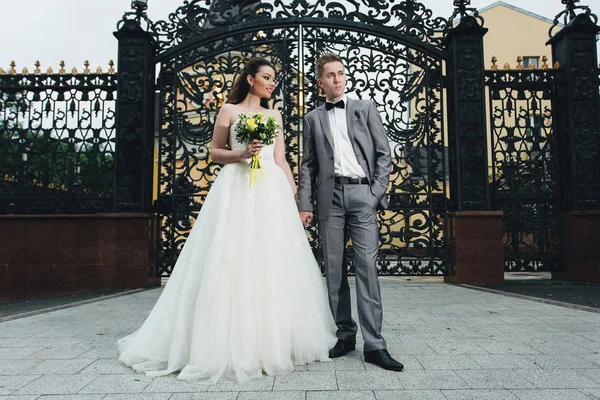 Newlyweds standing and holding hands — Stock Photo, Image