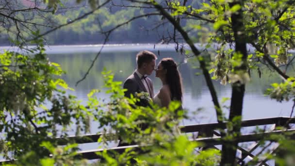 Newlyweds kissing on the river pier — Stock Video
