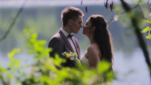 Recién casados besándose en el muelle del río — Vídeo de stock