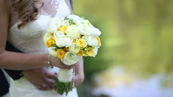 Nevěsta, ženich a příroda — Stock video