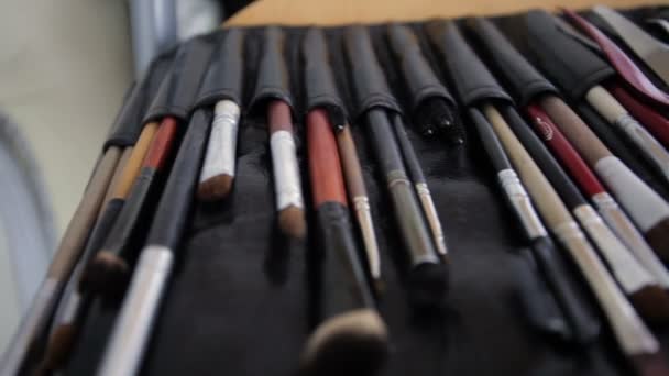 Big brush set for make-up — Stock Video