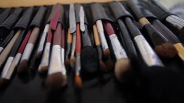 Professionella borste som fastställts för make-up — Stockvideo