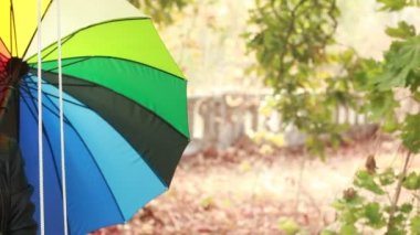 Salıncakta oturan gülümseyen genç kadın