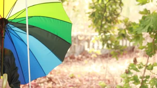Meisje met paraplu op schommel in park — Stockvideo
