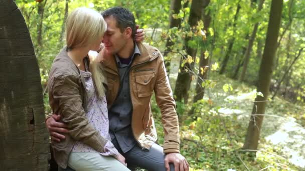 Couple amoureux en forêt près de gros troncs — Video