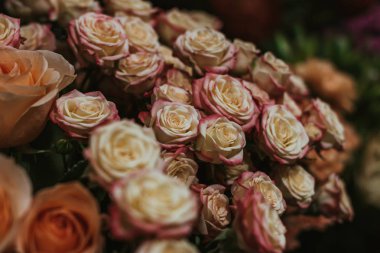 Bir buket beyaz pembe gül