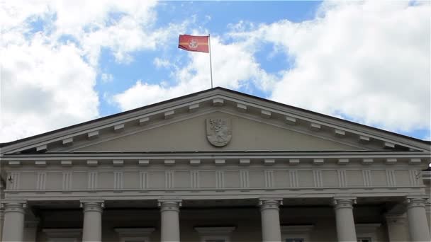 Litauiska medborgare sjunker, flaggan av Vilnius — Stockvideo