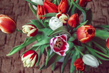 kahverengi bir arka plan üzerinde güzel bahar lale buketi