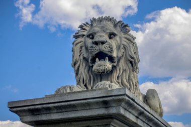 Budapeşte'de bina Parliament yakınındaki bir aslan heykeli