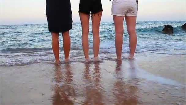 Jambes d'un groupe d'amis tout en marchant pieds nus le long de la côte — Video