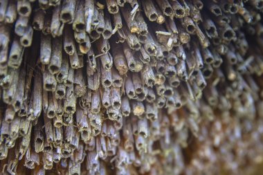 Kırsal bir evin çatısında doğal hasır doku