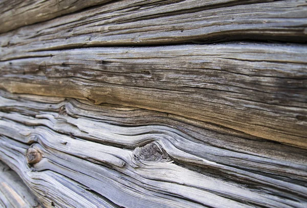 Textur aus natürlichem Holz, alte Stämme mit Rissen — Stockfoto