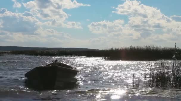 En fiskebåt klippor på vågorna. Ljusa bländning av ljus på vattnet — Stockvideo