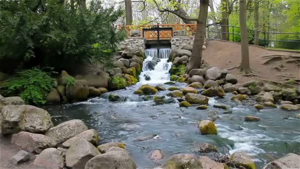 Kleiner Wasserfall am Fluss im europäischen Stadtpark — Stockvideo