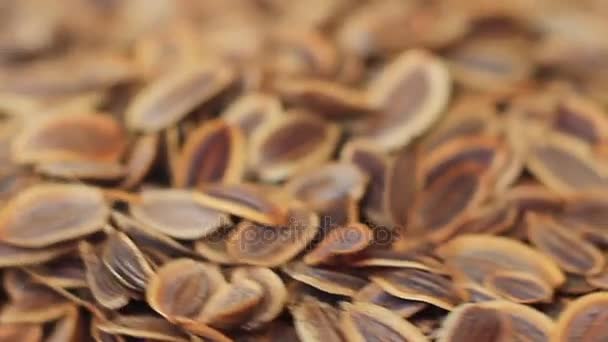 As sementes de endro vazam-se em uma superfície rotativa — Vídeo de Stock