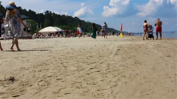 Паланга, Литва-Июнь 2017: туристы прогуливаются по пляжу, отдыхающие прогуливаются по пляжу — стоковое видео