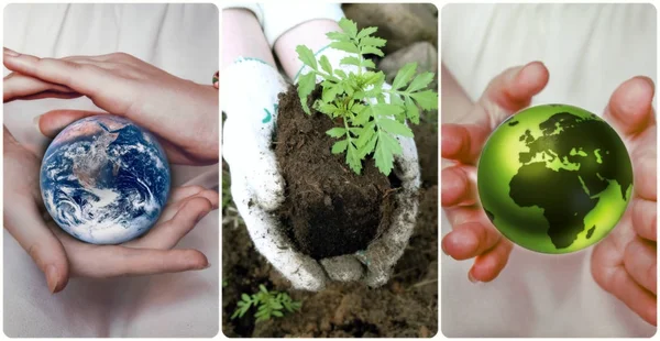 Green planet Earth in female hands. Elements of this image furnished by NASA — Stock Photo, Image