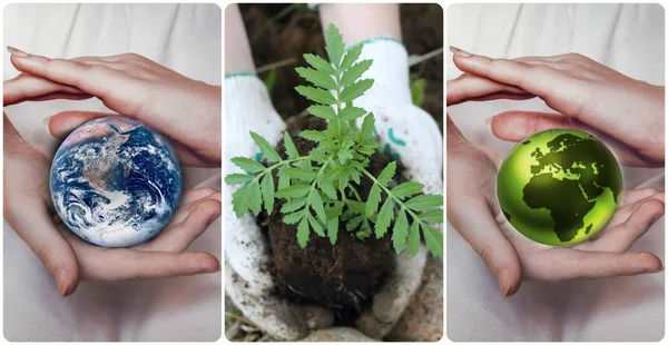 Green planet Earth in female hands. Elements of this image furnished by NASA — Stock Photo, Image
