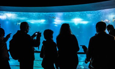 Oceanarium tropikal deniz balık gözlemlemek insan siluetleri