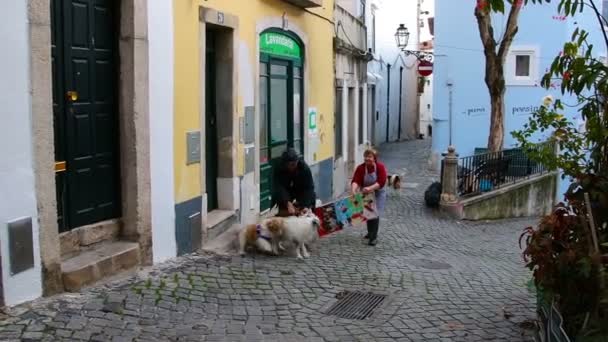 Lisbon, Portekiz - Ocak 2018: Dövüş köpekleri durdurmak bir erkek ve bir kadın deneyin. Evcil hayvanlar tüm çeyrek uyandırdı. — Stok video