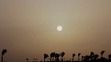 Palmiye ağaçları egzotik bir ülkede üzerinde güzel gün doğumu. hızlandırılmış