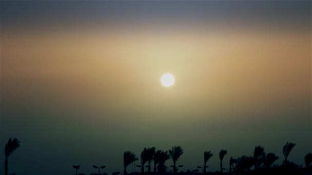Прекрасный Восход Солнца Над Пальмами Экзотической Стране Time Lapse — стоковое видео