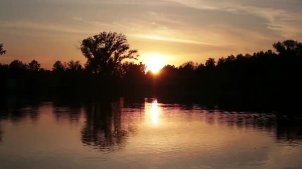 Beau coucher de soleil panoramique sur la forêt près du lac. Délai imparti . — Video