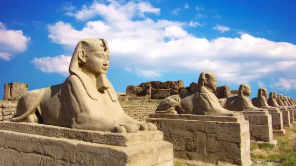 Древний Сфинкс Руины Других Храмов Символ Египта — стоковое видео