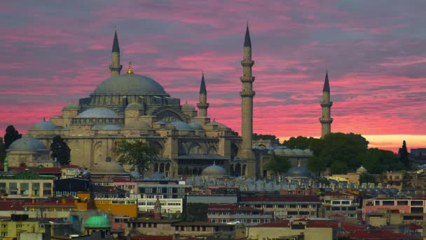 Beroemde Blauwe Moskee Istanbul Turkije — Stockvideo