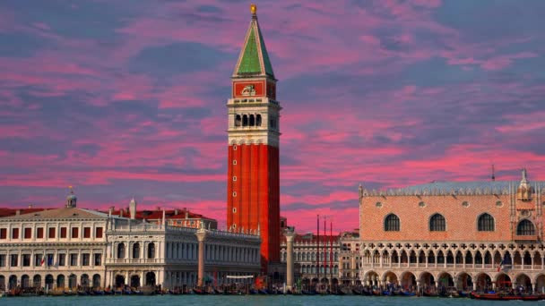 Мальовничий Краєвид Венеціанські Гранд Канал Campanile Дзвоник Краю Карнизу — стокове відео