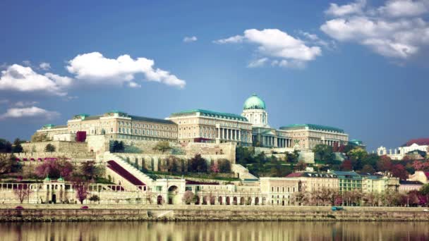 Schöne Buda Burg Budapest Ungarisch — Stockvideo