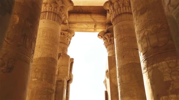 Le rovine dell'antico tempio di Sebek a Kom - Ombo, Egitto. — Video Stock
