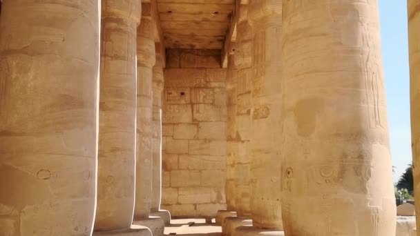 Ramesseum Templo Conmemorativo Del Faraón Ramsés Xiii Parte Necrópolis Tebana — Vídeos de Stock